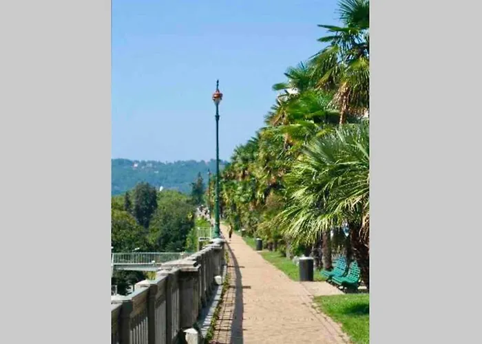 Tiny House Apartament Pau